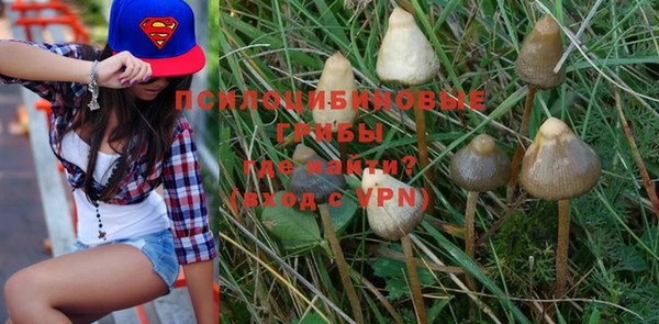 прущая мука Козловка