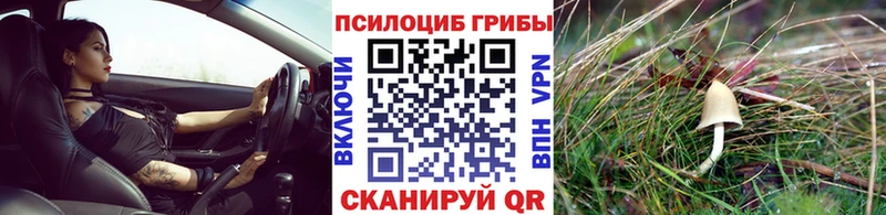 Псилоцибиновые грибы MAGIC MUSHROOMS  хочу   Обнинск 